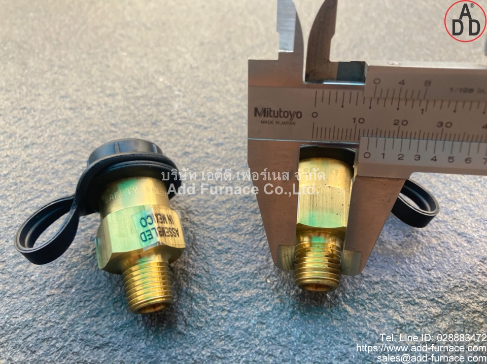 Fisher H110-250 Relief Valve(2)